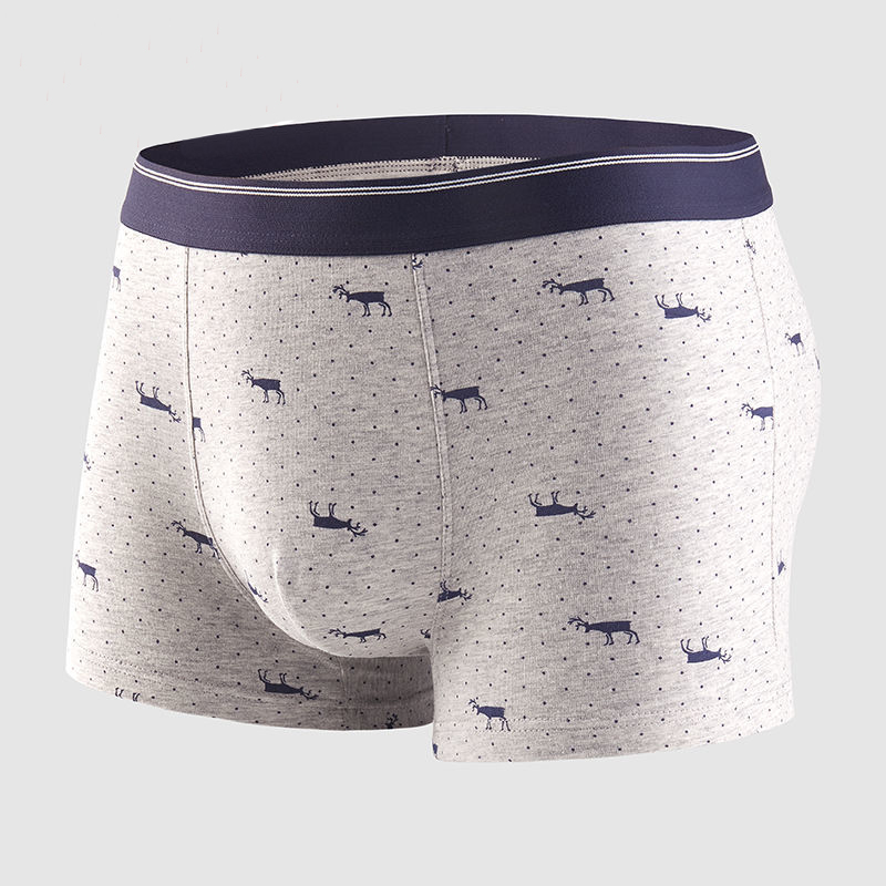 4 Stuks Heren Slipje Sexy Shor - Boxer Brief Pack Cotton recensie en prijs