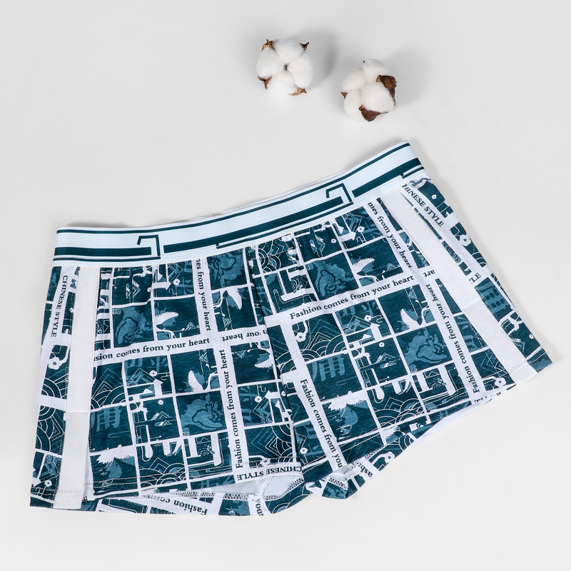 Herenondergoed, loszittende he - Boxer Brief Pack Cotton recensie en prijs