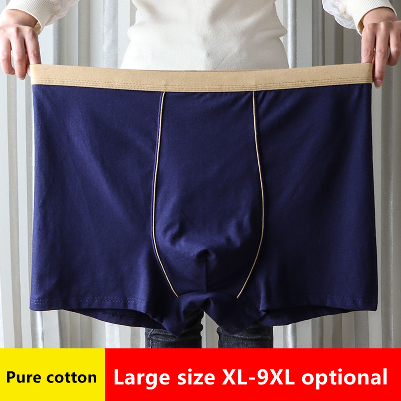 Groot formaat naadloos ondergo - Boxer Brief Pack Cotton recensie en prijs